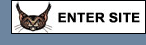 ENTER SITE