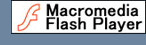 Get FLASH PLAYER